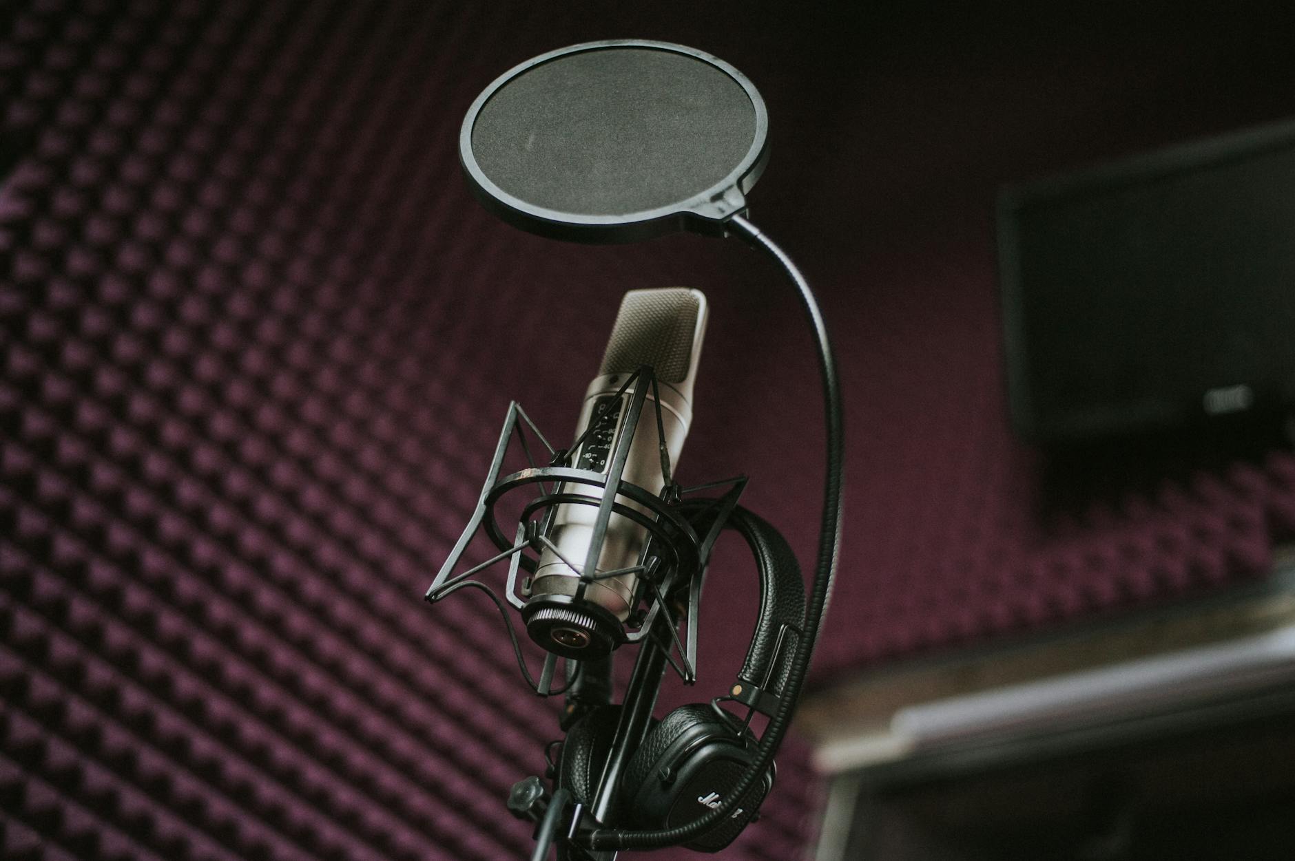 Silver Dynamic Microphone on Black Microphone Stand
